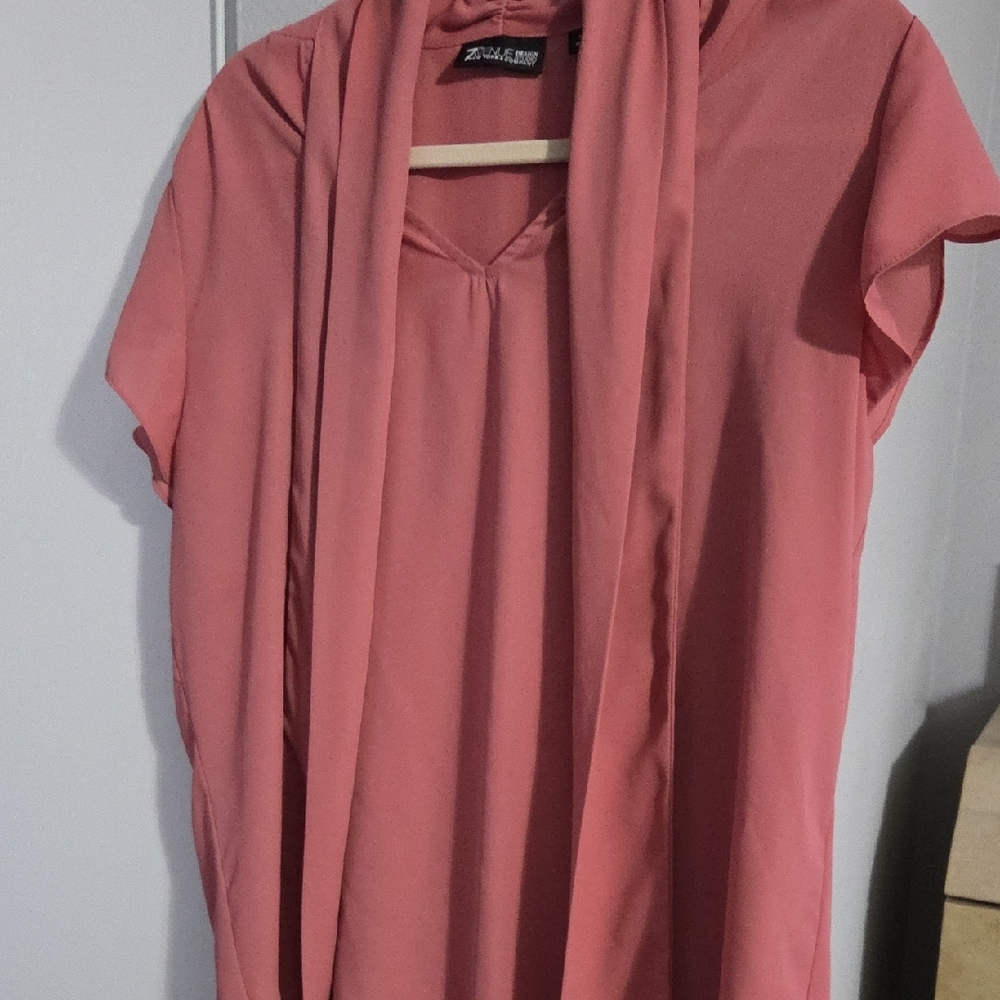 Zara Women’s Pink Top